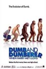 Dumb and Dumberer