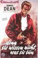 Rebel Without a Cause