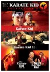 The Next Karate Kid